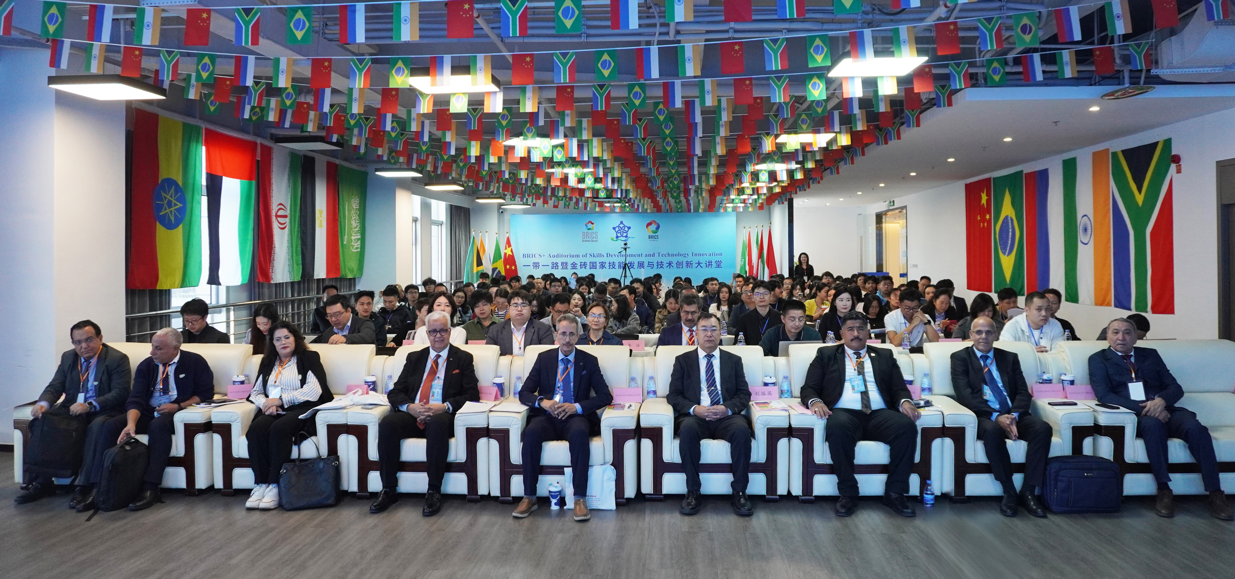 1764646632471539.jpg 2.JPG